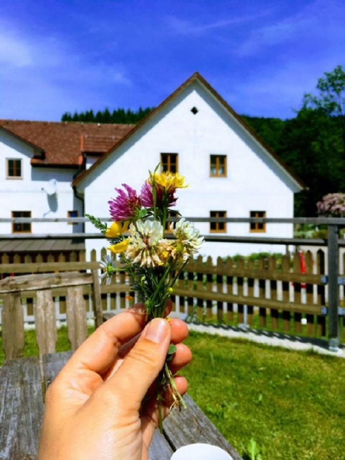 Einkehrhof Poggau Lejlighed Reinsberg Eksteriør billede